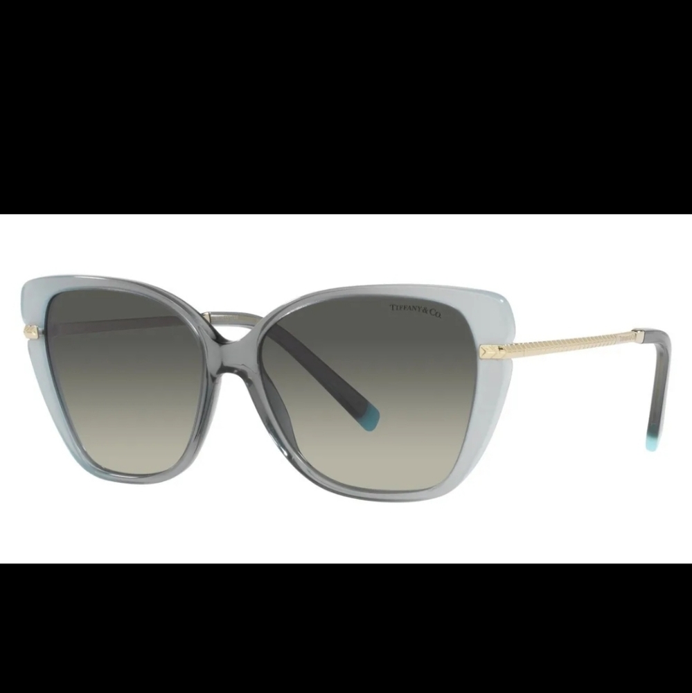 Tiffany & Co TF4190 Cat Eye Luxury Sunglasses Dezigner Metal Silver #20